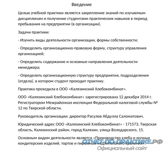 Отчет по ознакомительной практике образец для студента педагога